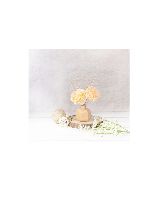 Pottery Diffuser & Flower - Apricot